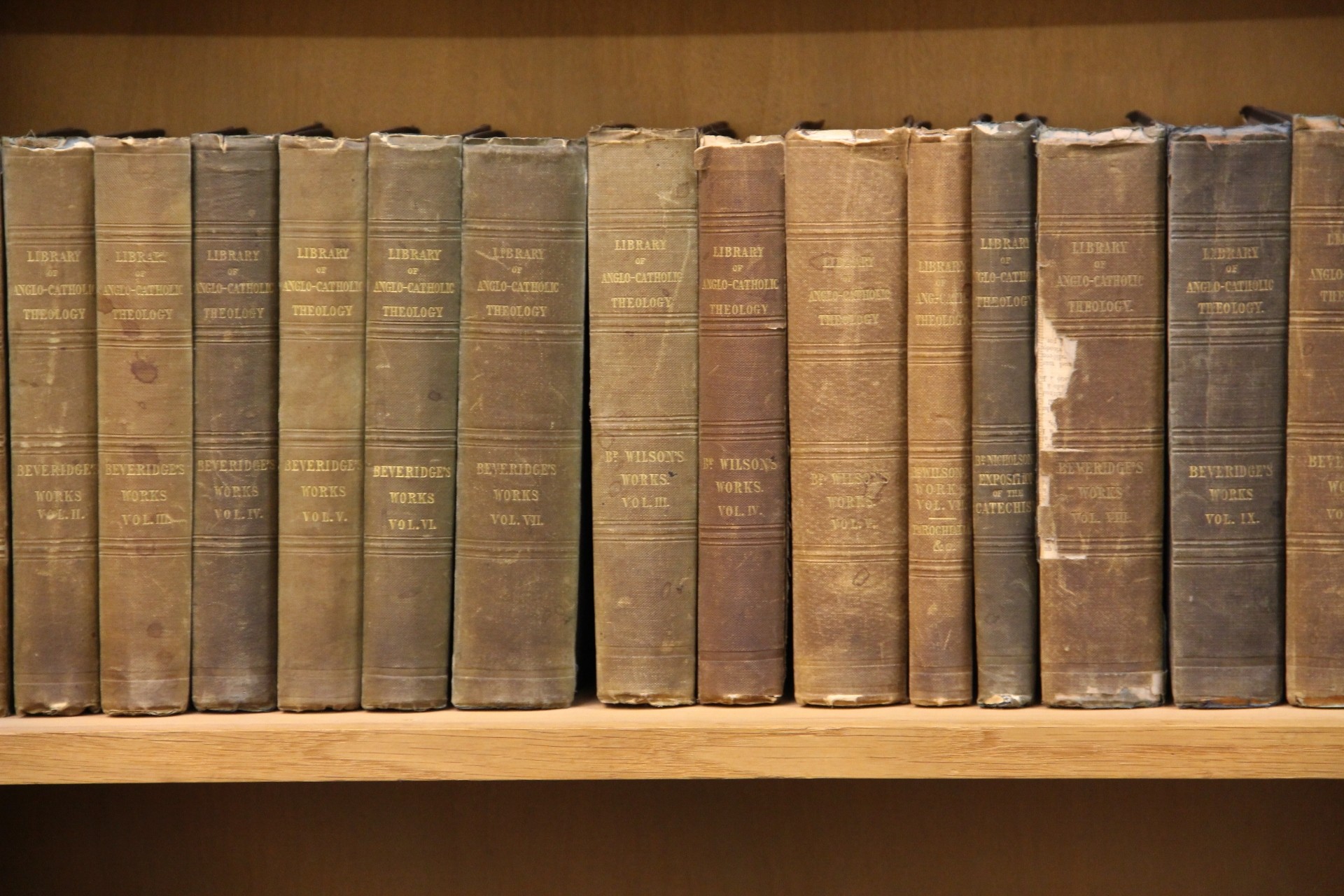 IMG_4511 (1920x1280)