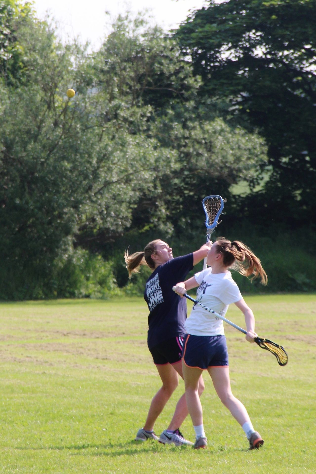 IMG_7322 (1280x1920)