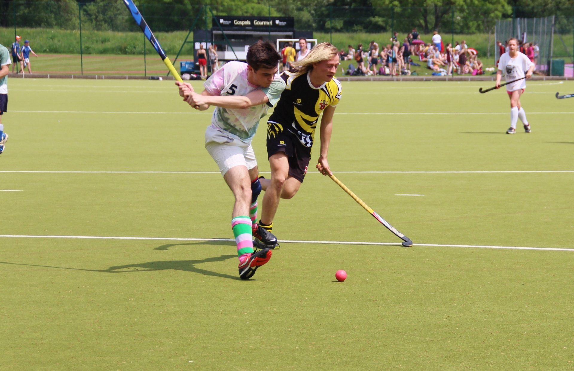 IMG_7426 (1920x1242)