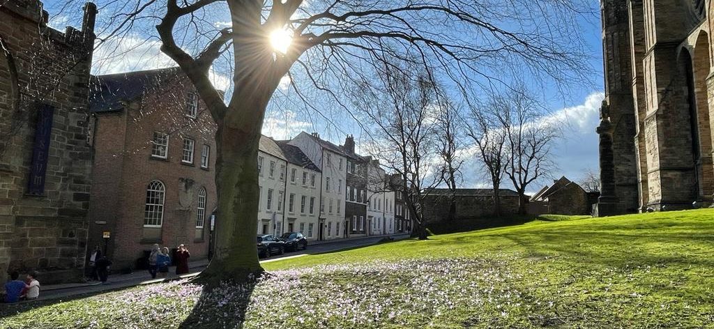 6e0b4b17-2bb2-4858-bd56-9591522d6eb6 (2)